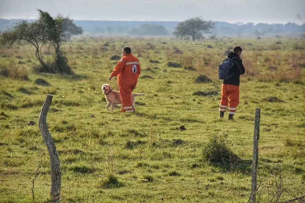 imagen_2024-06-17_133053051