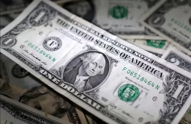 imagen_2024-12-24_114142536