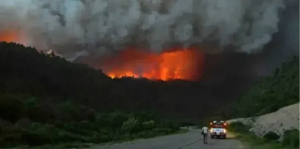 imagen_2025-01-08_094921432