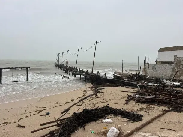 imagen_2024-10-10_091730117