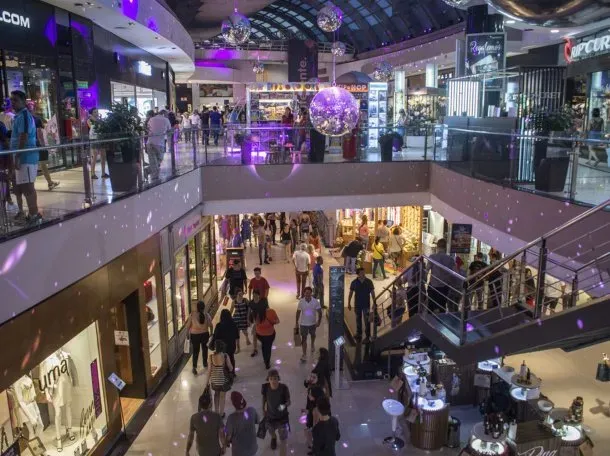 imagen_2024-12-26_094646531