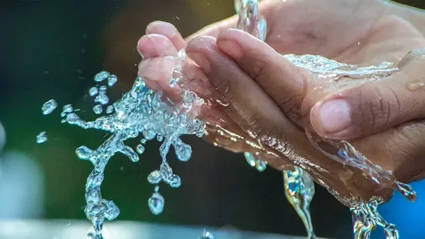 imagen_2024-11-14_095938676