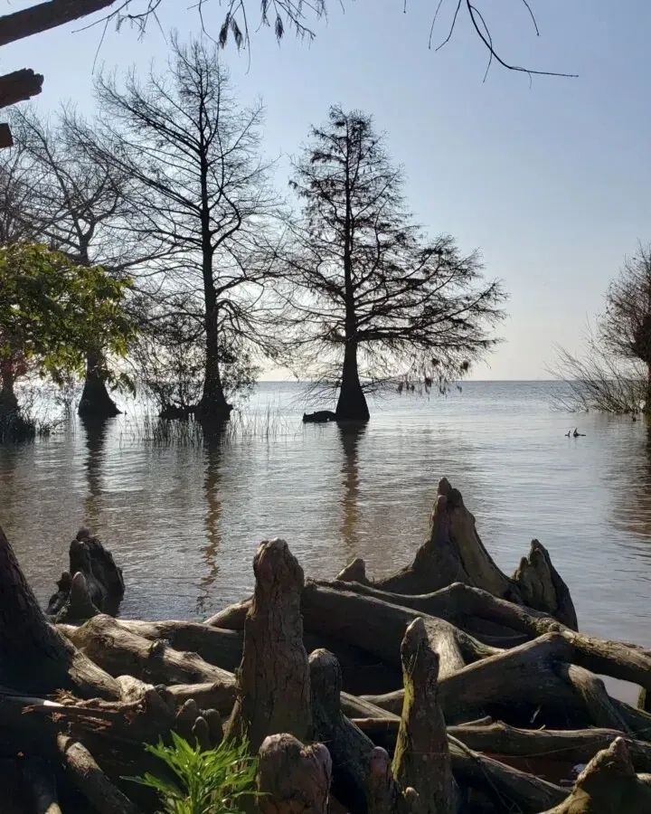 imagen_2024-06-18_130601657