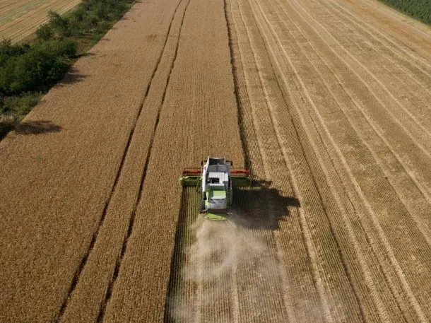 imagen_2025-01-21_110855828