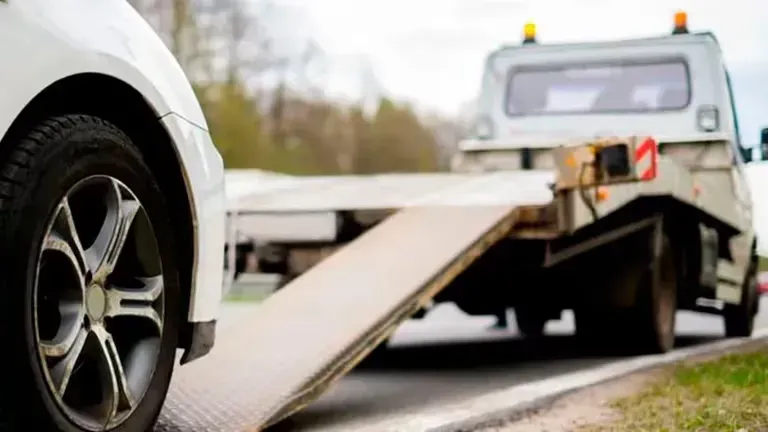 imagen_2024-06-05_122717867